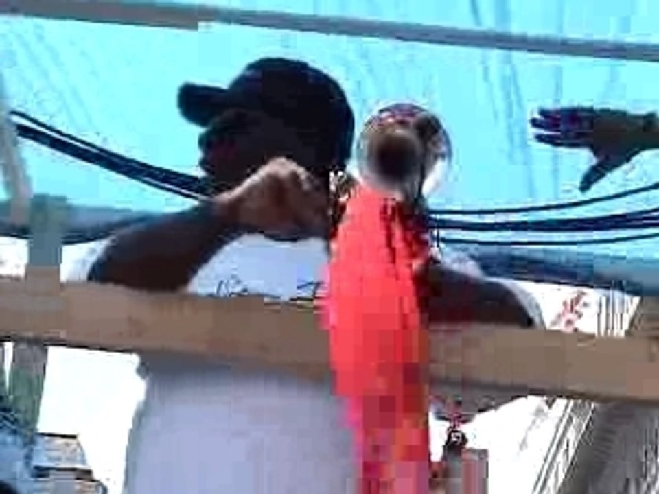 Cameraman-Sequence 1-MPEG-4 300Kbps