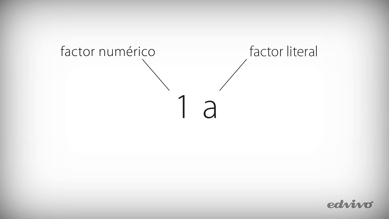 Elementos de un término algebraico - microclase