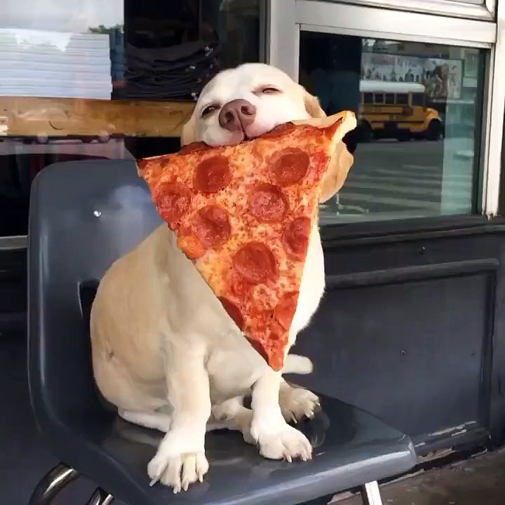 Pretty much how I feel about pizza too