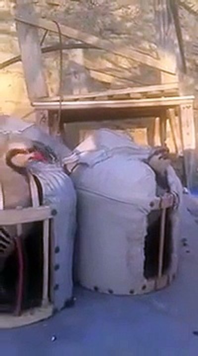 süper keklik ötüşleri izleyin