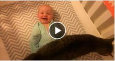 Child meets family cat and instantly experiences passionate feelings!