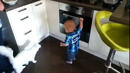 Cat stops baby from opening oven