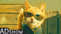 Meet the coolest cat in town!