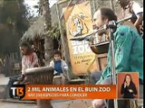 Buin Zoo en Teletarde - Vacaciones Salvajes de Invierno 2012