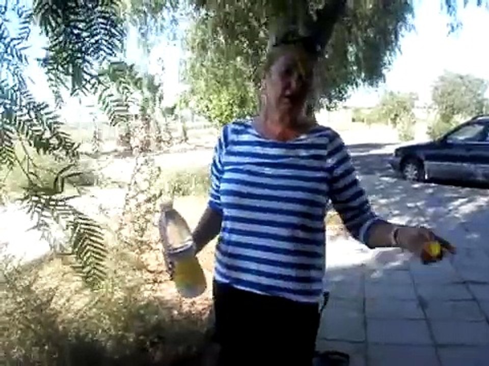 Stray cats in Larnaca - Part 2