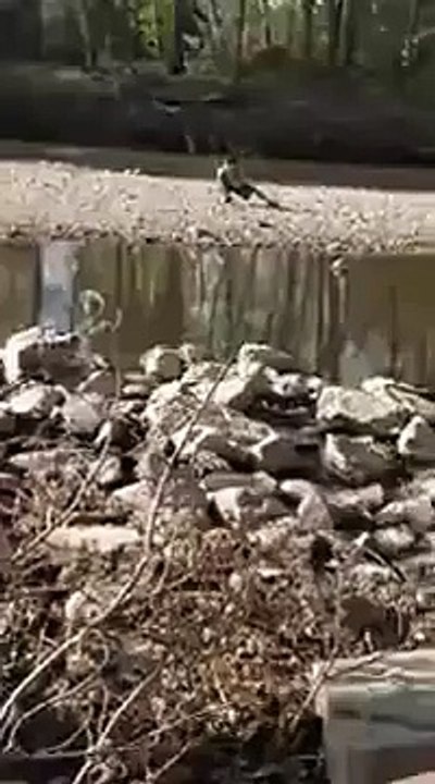 Play Your Music And Dancers Will Come