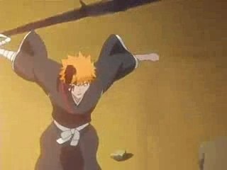 --Ichigo vs renji--