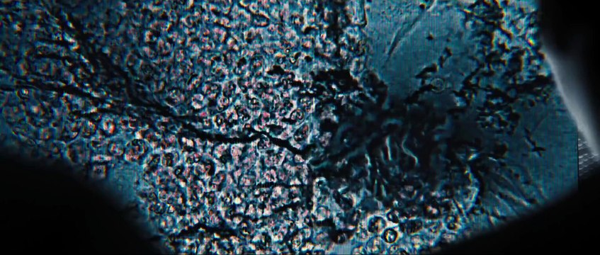 Maze Runner- The Scorch Trials Official Trailer #2 (2015) - Dylan O'Brien Sci-Fi Adventure HD