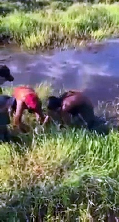 Homem é nocauteado por peixe