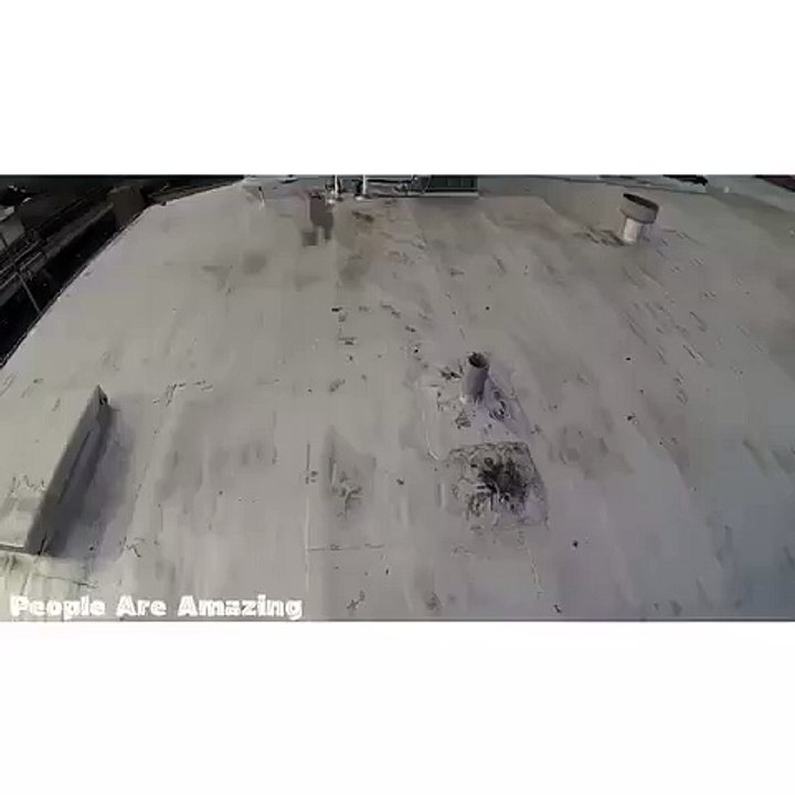 People Are Amazing Tap the star  on the top right corner of my profile so you know right when I post | Did he just do that  PeopleAreAmazing