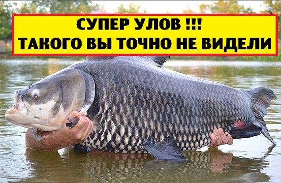СУПЕР УЛОВ ! ВОТ ЭТО РЫБАЛКА ! fishing