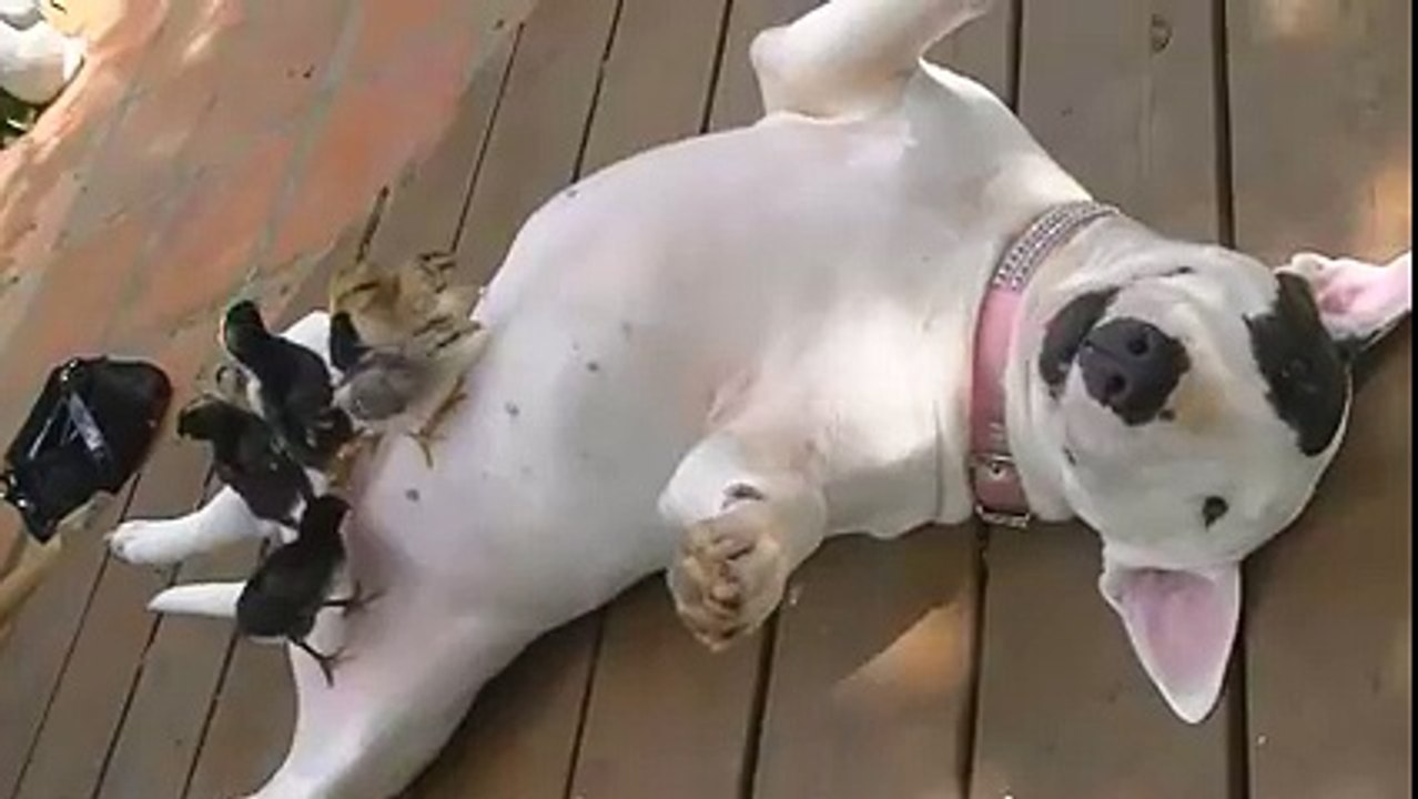 واہ جی بڑا خیال رکھ رہا ہے