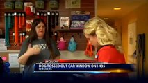 Woman rescues dog tossed out car window on I-435