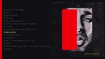 Tyga  Stimulated (lyrics) [new album]