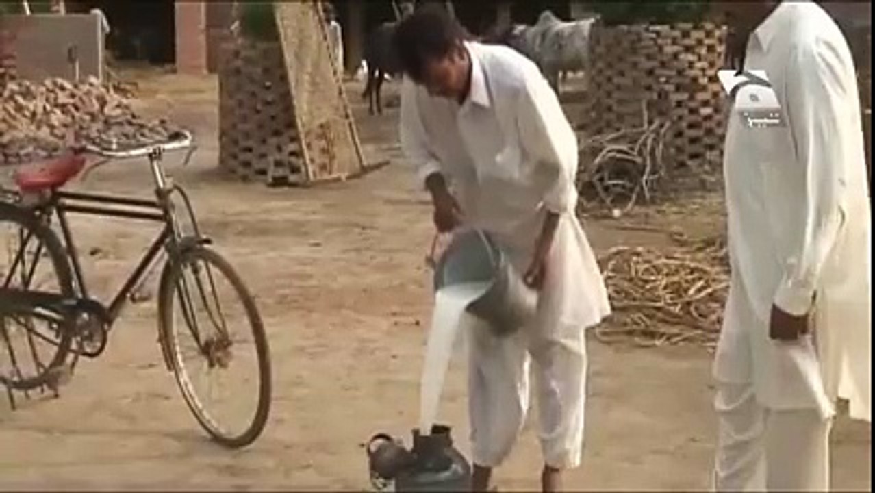 Tezabi Totay in Tez wich