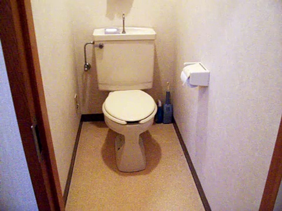 Japanese Toilet