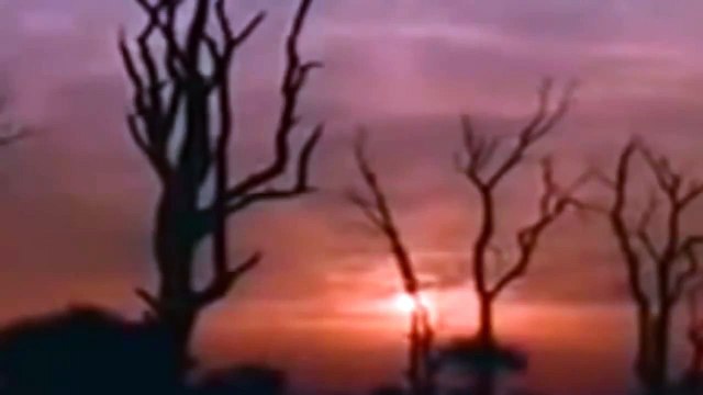 LIONS KILLING AND EATING HYENA || REALLY WILD ANIMALS