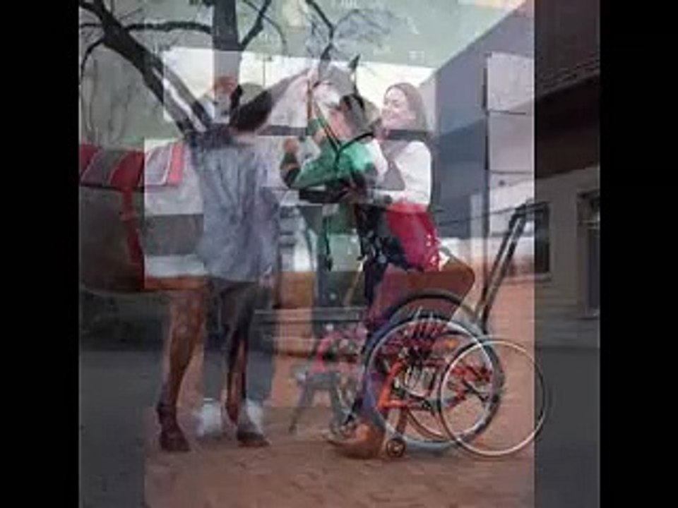 Levo Standing Wheelchair