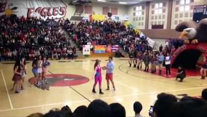 Valley View High School Dance Team "Toy story" 2013-2014