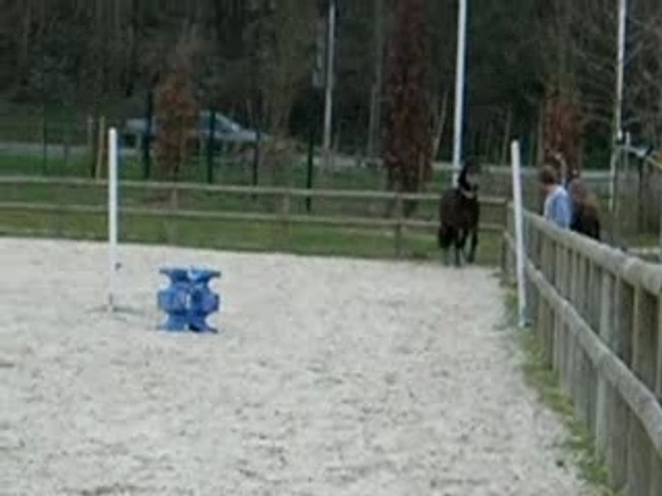 DSCN6536