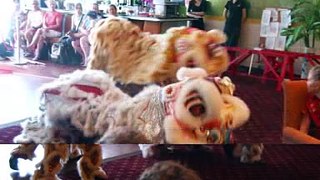 Chinese New Year Lion Dance @ Wollongong, NSW Australia