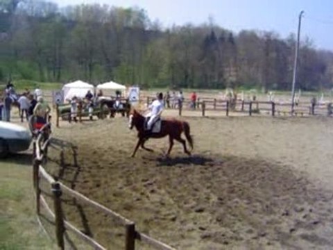 Dressage CCE Villeneuve