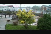 Clarenville's Experience with Hurricane Igor Sept 2010