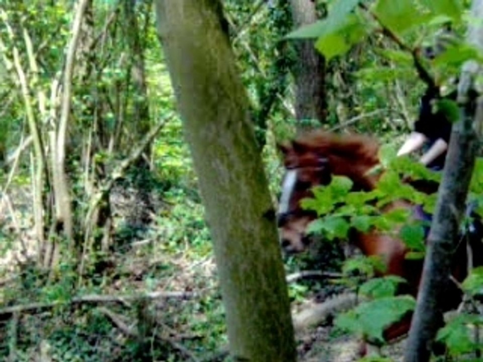 idem et marion dans le cross