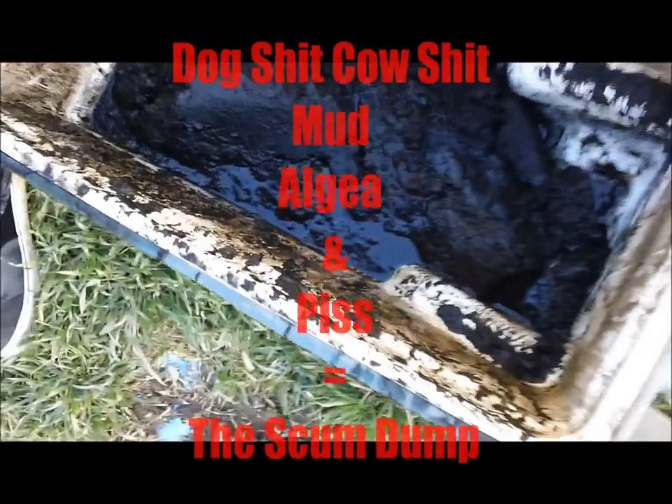 Teen Jackass 3 BEST JACKASS EVER: hardcore, funny pranks, store stunts, dumb people, gnarly clips