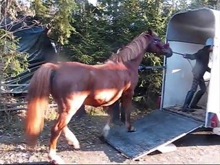 Laukkakisat Alavudella