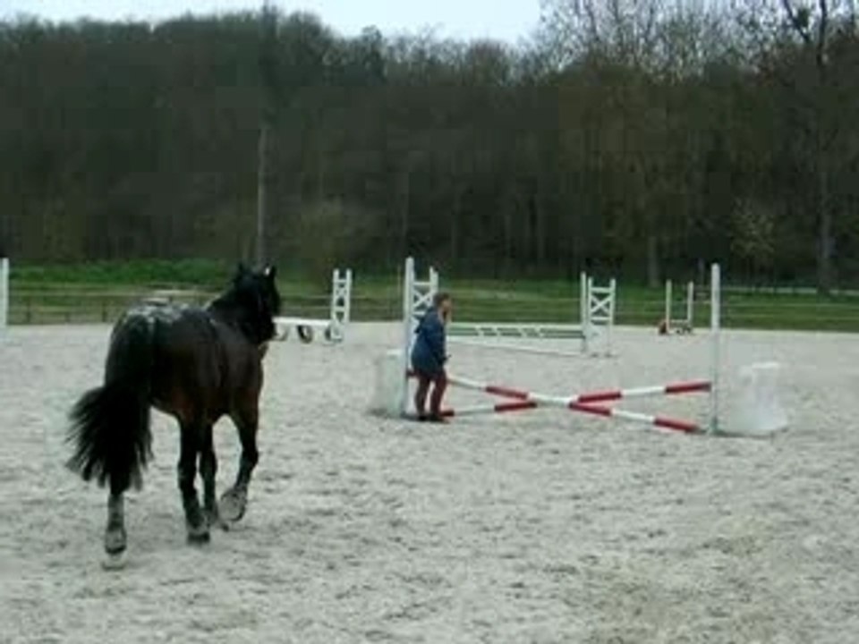 DSCN6540