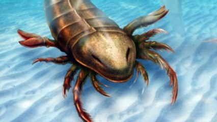 Scientists discover ancient "sea scorpion"