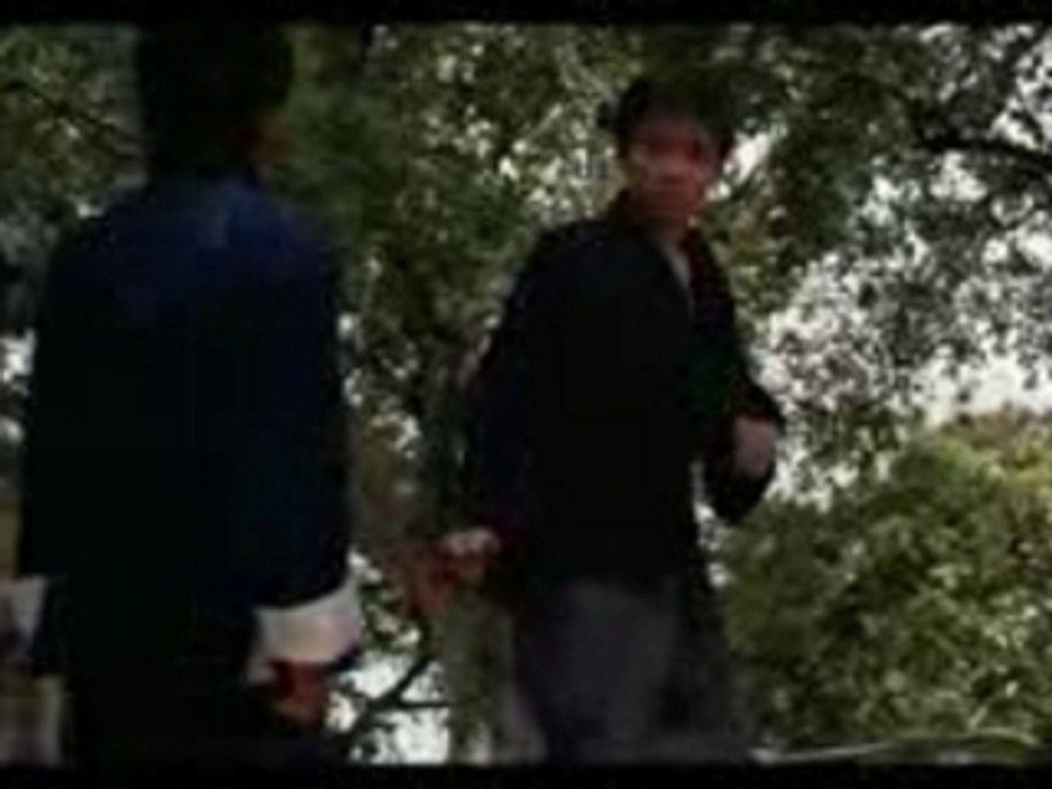 Dis bonjour à Bruce Lee