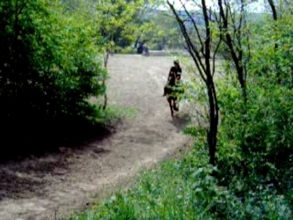 idem et marion dans le cross