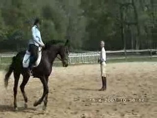 Travail du galop