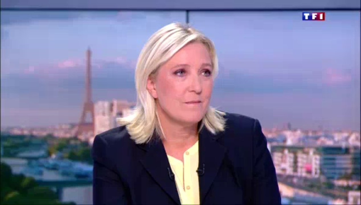 Le 20 heures du 28 août 2015_TF1-cut