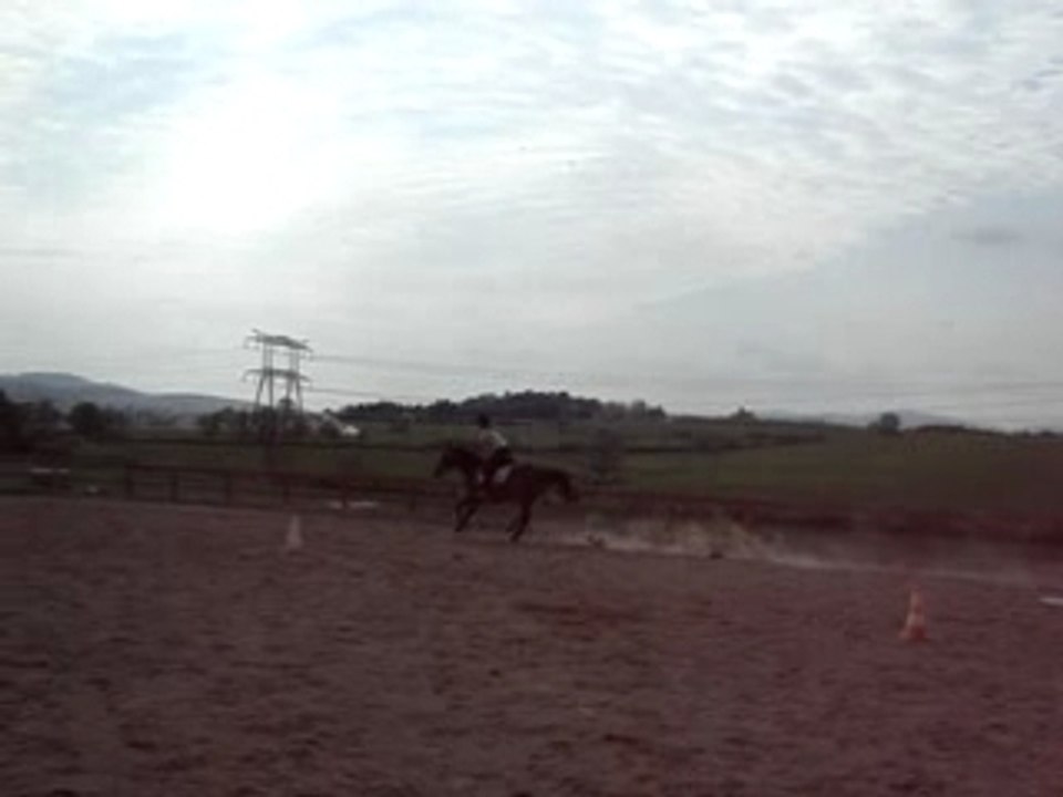 Pony games