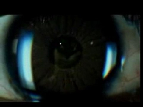 Futur crew - kooz the dog