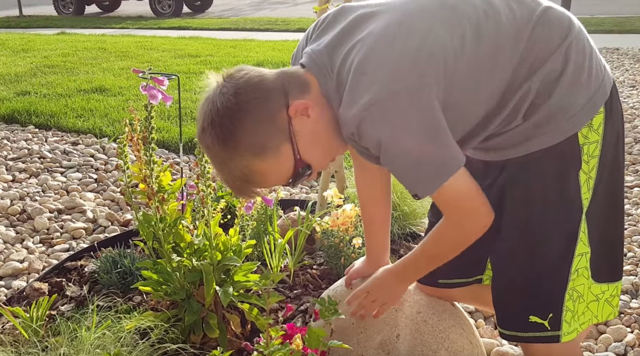 Colorado Boy Enjoys Colourful Flowers for First Time