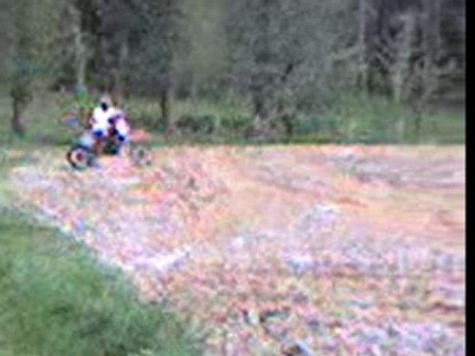 Tony 250 CR dans le champ