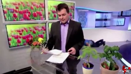 BEST NEWS BLOOPERS -- Amazing Reporter Fails -- Funny Video