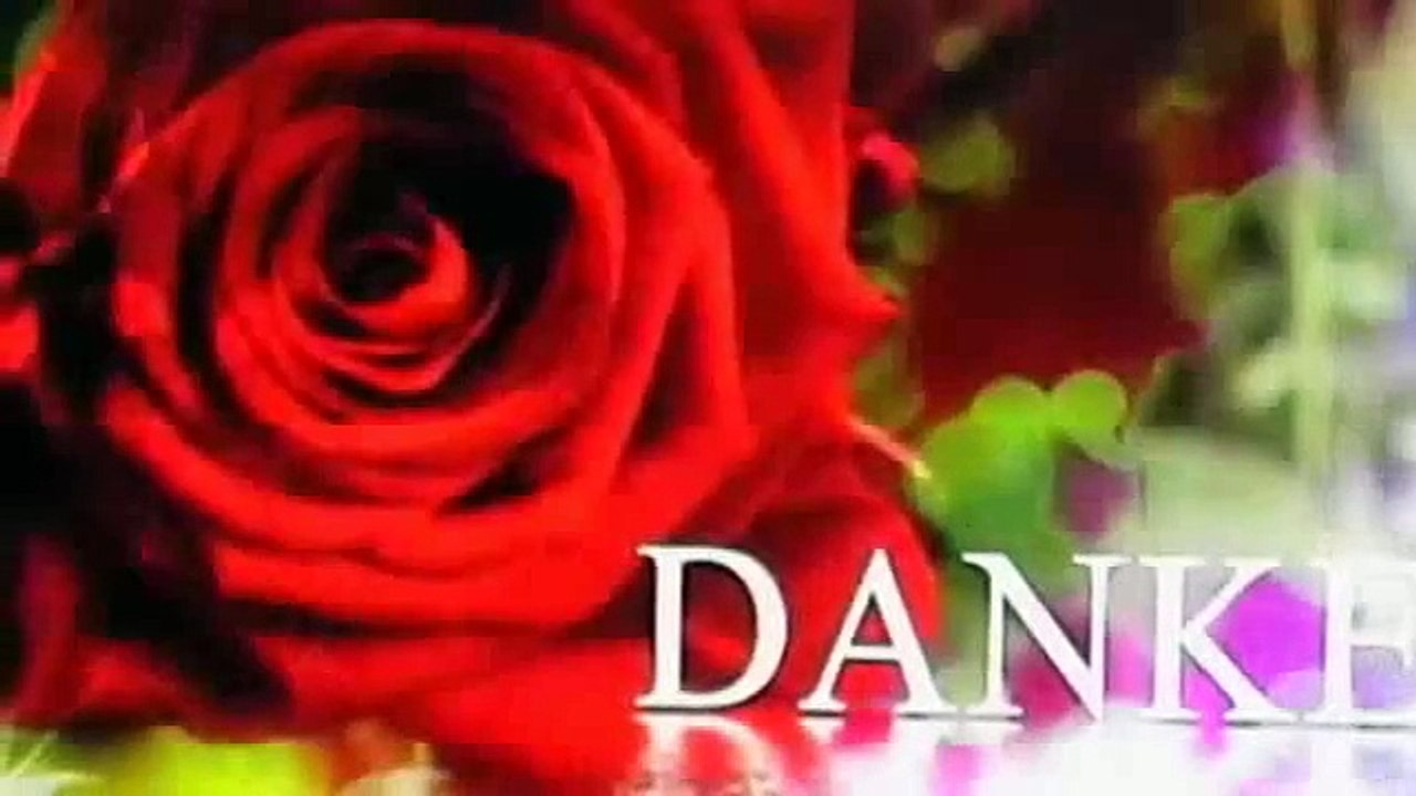 Jack Jersey - Trennen