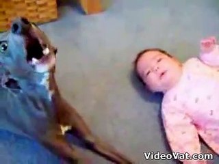 baby en hond huilen samen