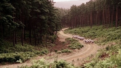 Band of Brothers Trailer