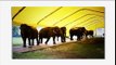 Elefanten bei Circus Krone 2011