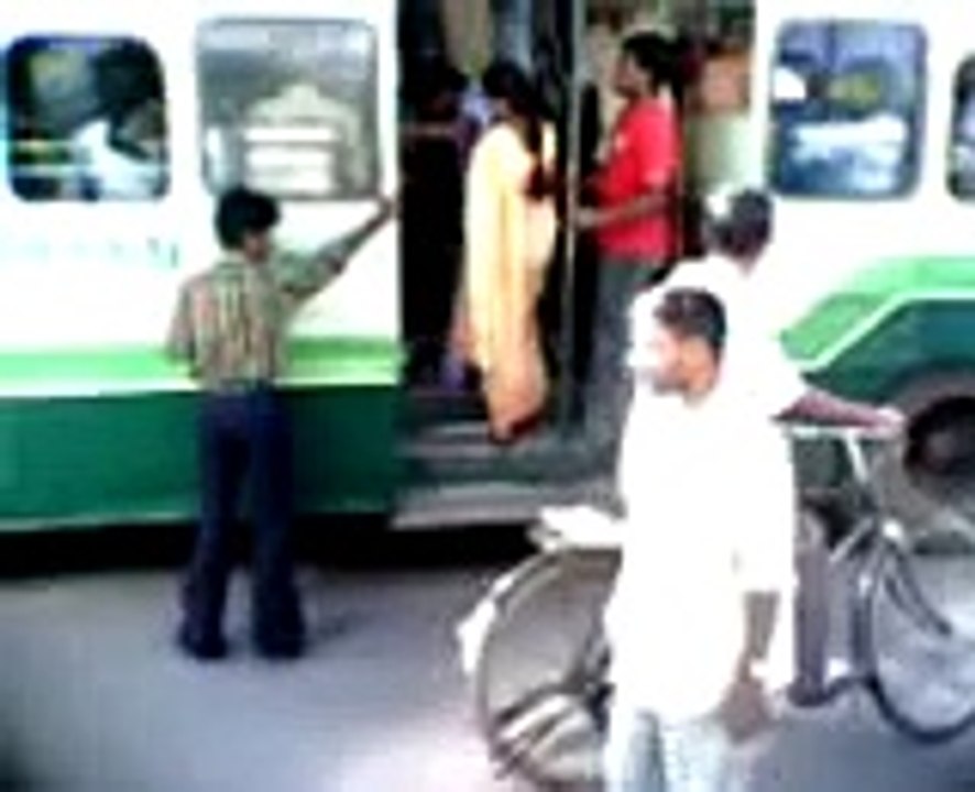 Dog Trying To Travel in bus