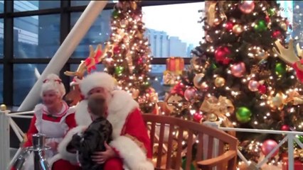 Toi mon enfant Los Angels 2014