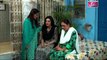Raja Indar Episode 69 on Ary Zindagi Full