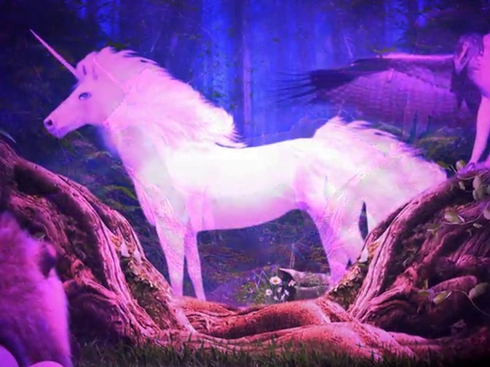 The last unicorn - Juliette