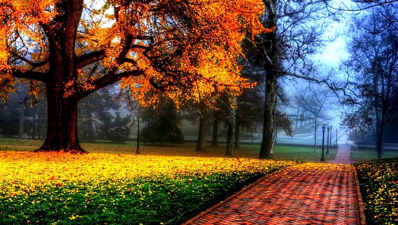 Hasan Eylen - Bitmeyen Çile (Önce tuttun elimden)